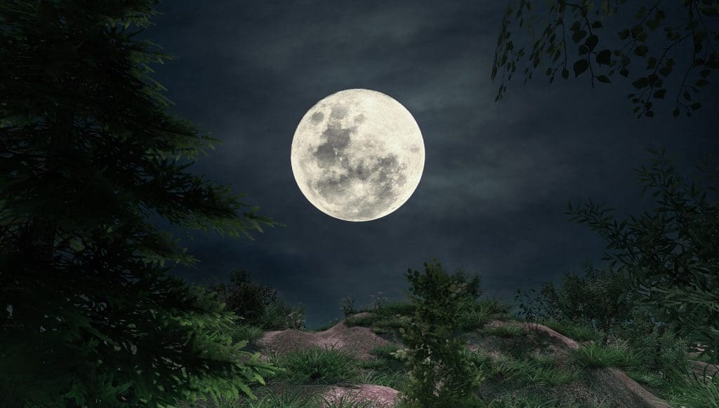 We are going to dip into a little book of writing prompts I wrote called...