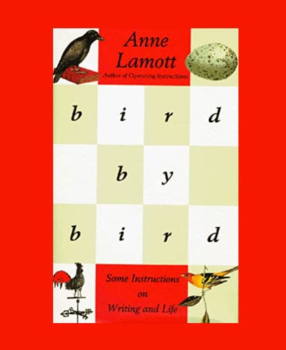 Episode #24 - Anne Lamott's Writing Wisdom