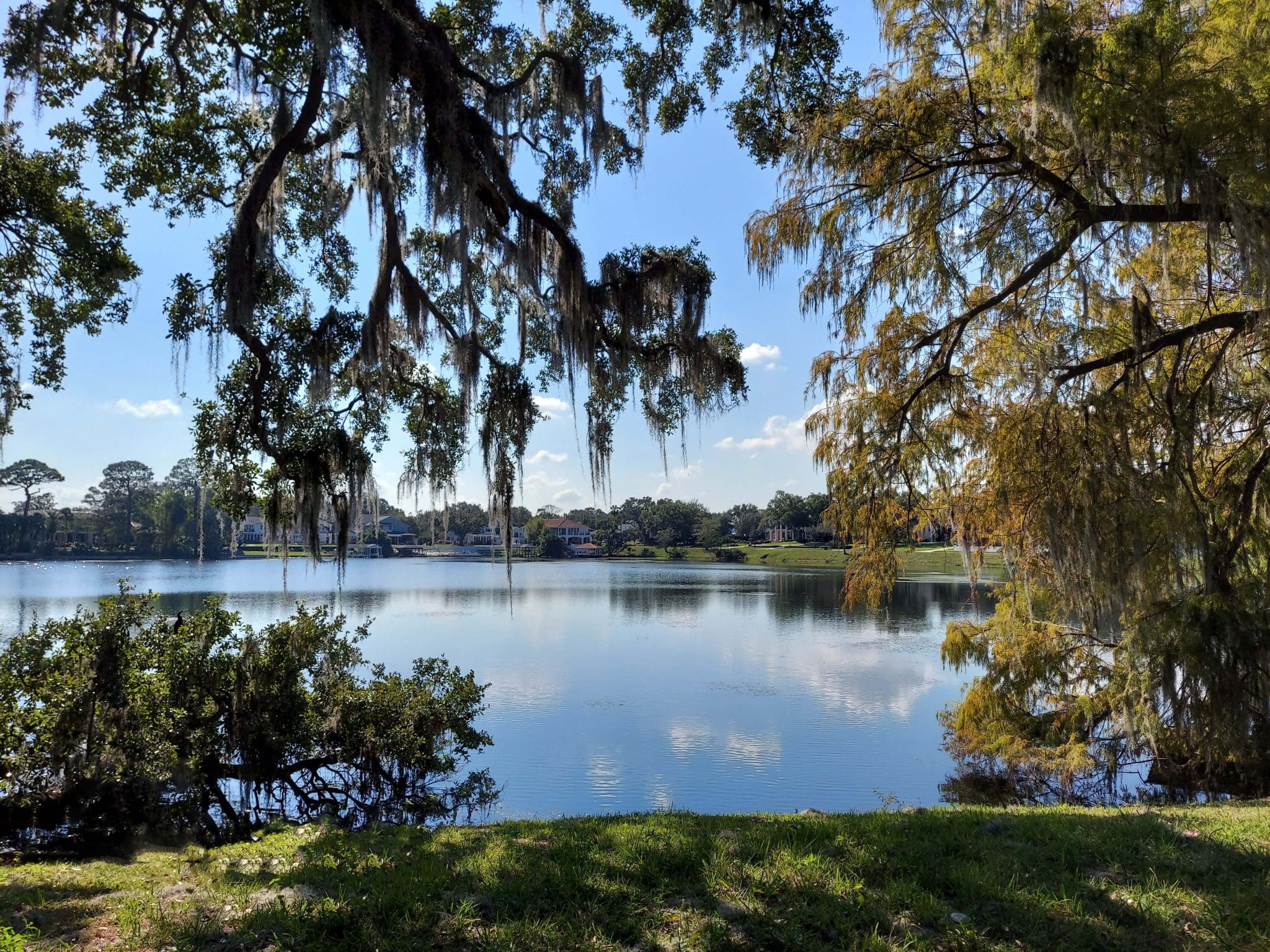 Lake Ivanhoe