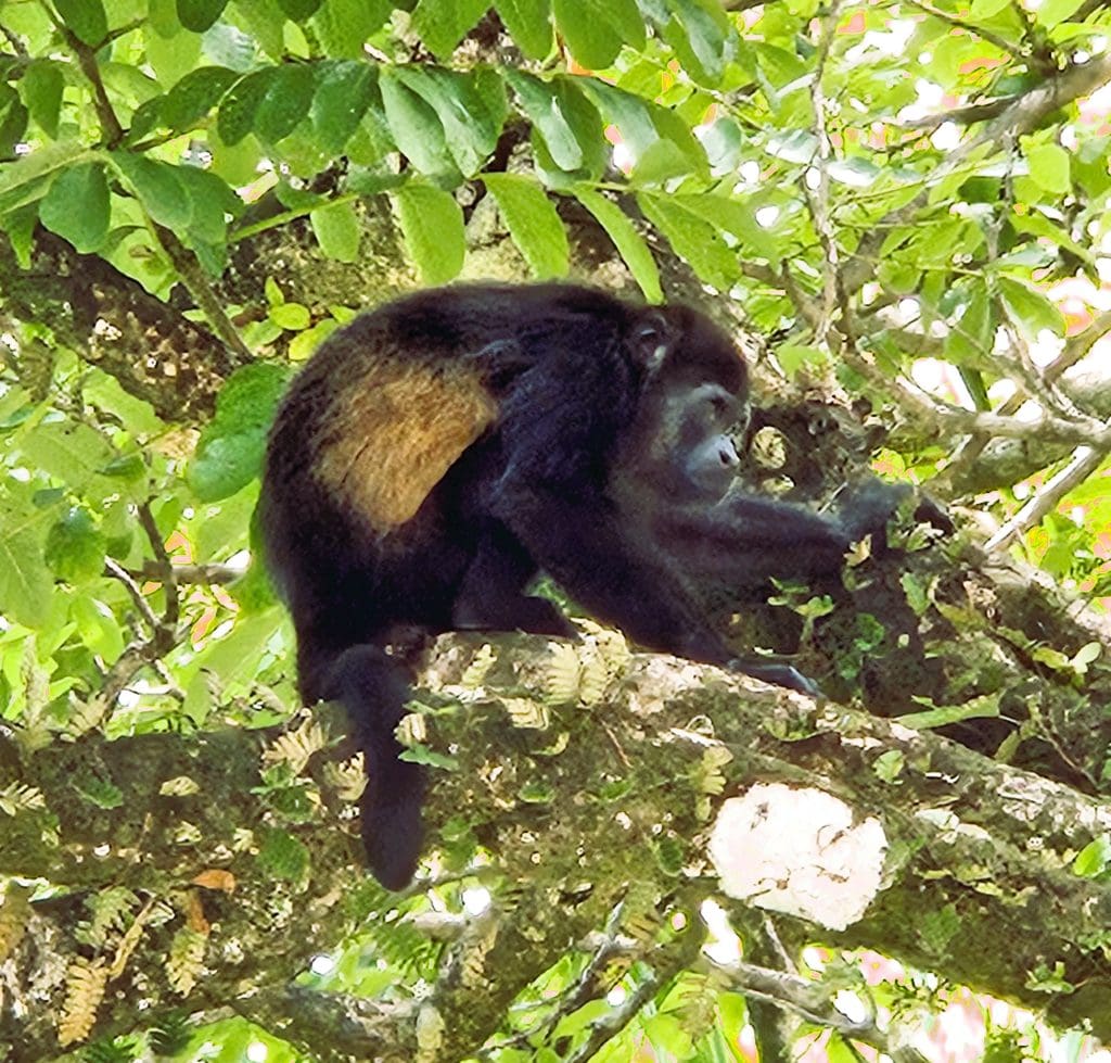 How do you feel about trying new things? Some people thrive on the energy derived from tackling something new and unknown. But, if you're like most...