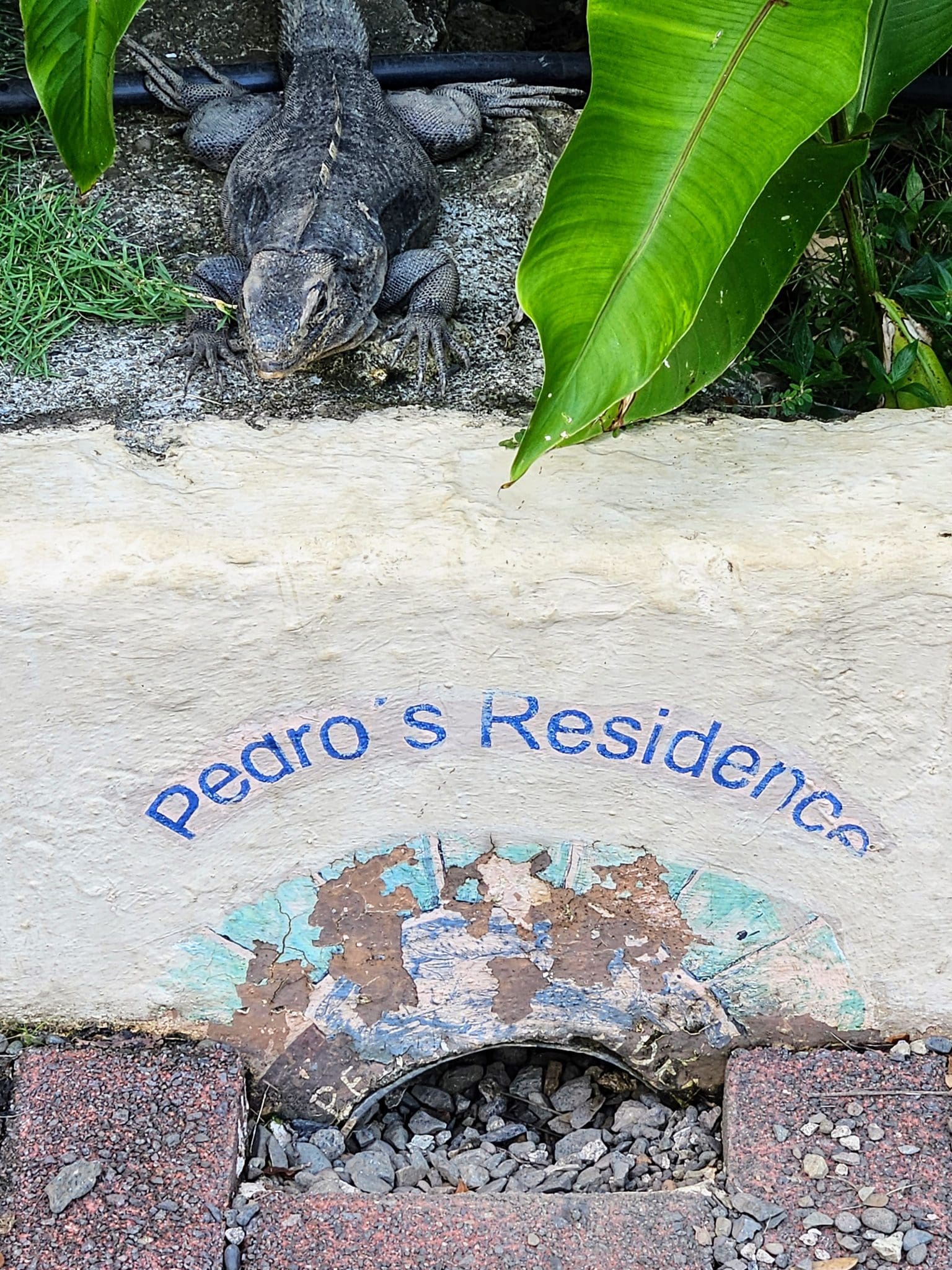 Pedro sitting above his residence