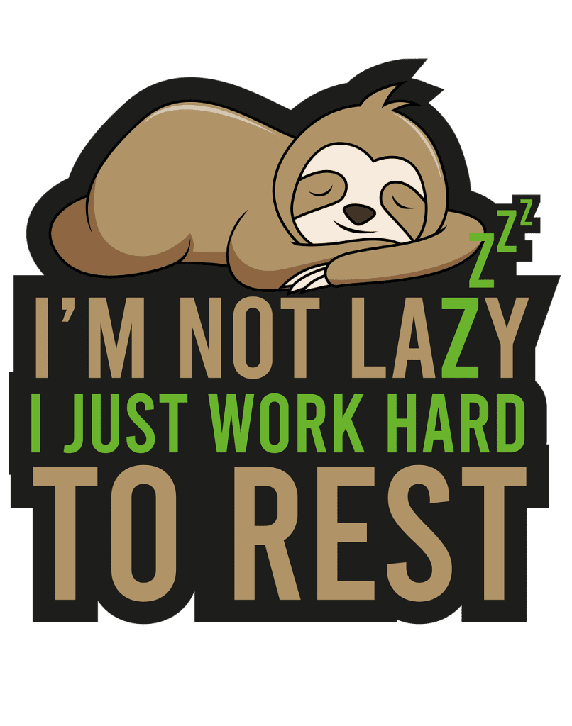 After a stressful couple of months of sickness and my mom’s death, I chose to have a slothful weekend last week. I dragged myself