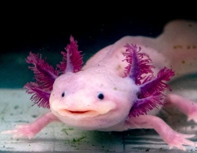 Here we are again to talk about another book I adore...