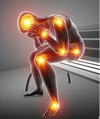 In 1991, I had a bad horseback riding accident that left me...