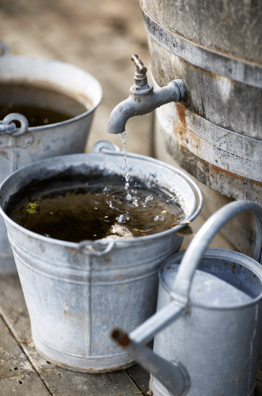 John McPhee, with thirty-three books under his belt, emphasizes the power of...