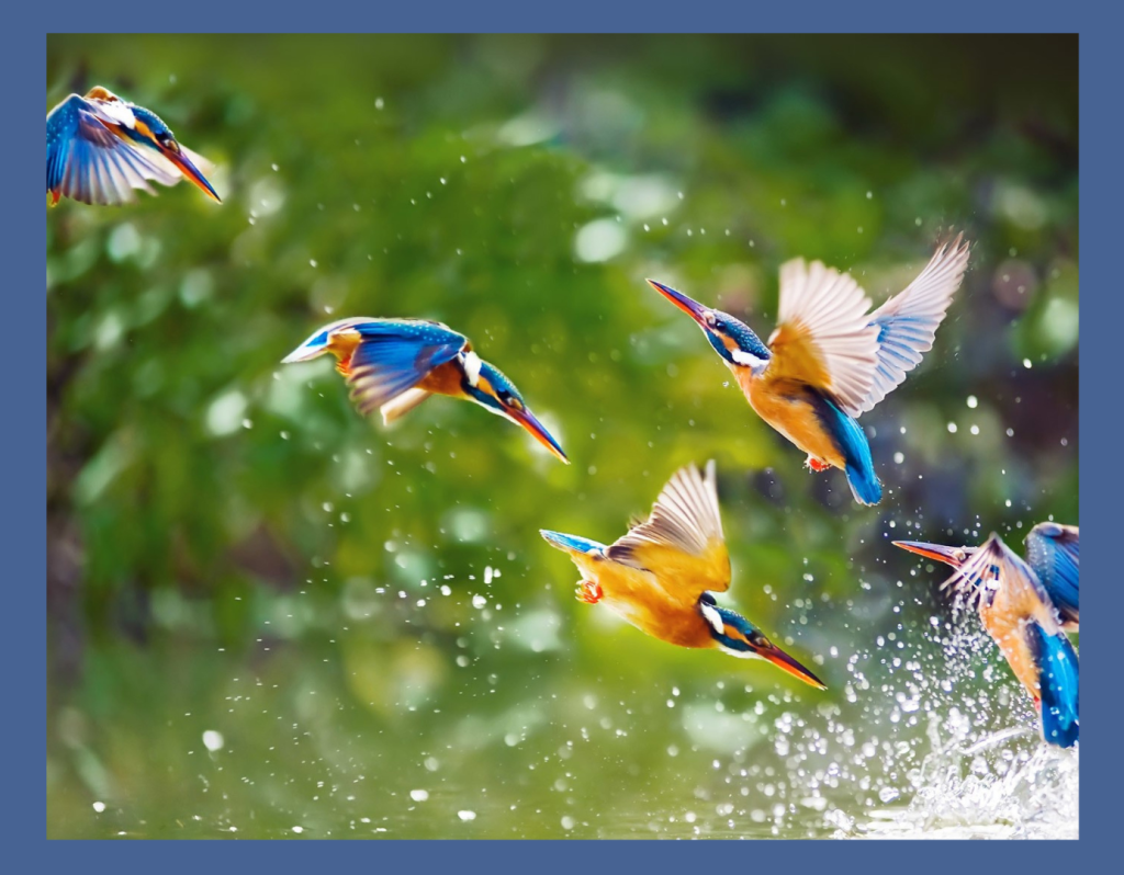 Today is the fifth Thursday of the month, so we are going to take a bit of advice...